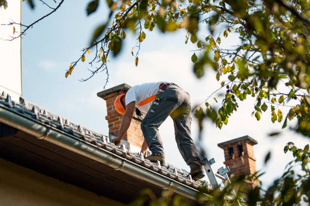 Best Roof Maintenance and Cleaning  in Calvert, TX